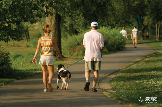 Walking-Dog