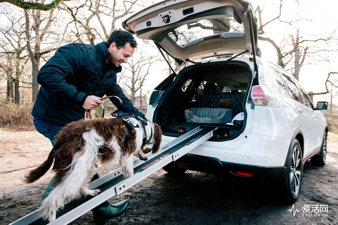 nissan_x_trail_4dogs-ramp